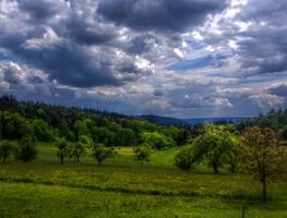 Brandau im Odenwald